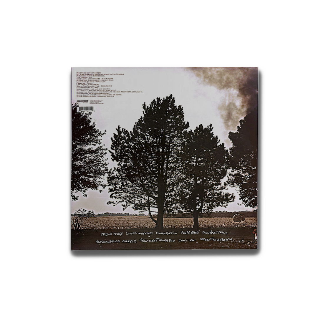 LP image